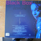 Black Box – Dreamland (LP, cheesecake sexy house italo) - pikkukuva 3