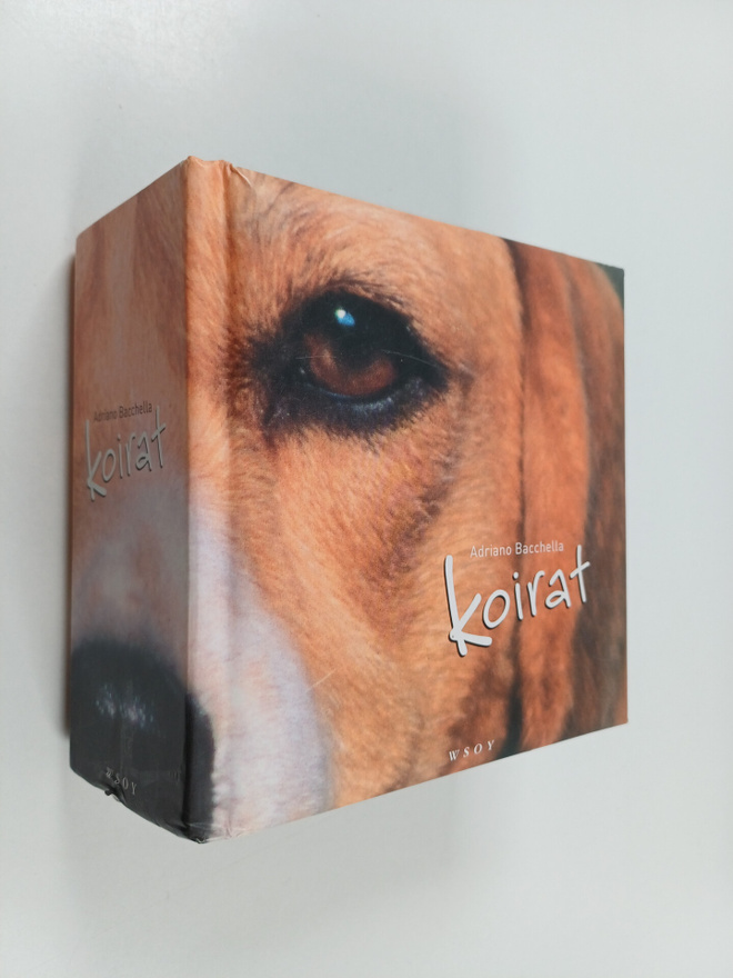 Adriano Bacchella : Koirat