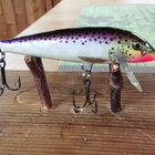 Rapala Countdown 6cm - pikkukuva 1
