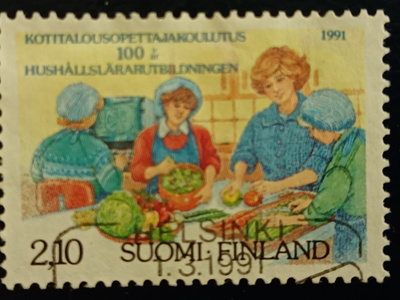 Kotital.opettajakoulutus 100v.EP