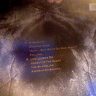 DAVID KNOPFLER  ::  LIFELINES  ::  VINYYLI.  LP         1991 - pikkukuva 2