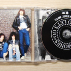 THE RAMONES: Hey Ho Let´s Go! - pikkukuva 2