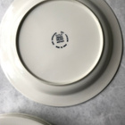 Arabia Arctica ruokalautaset 23cm 4kpl - pikkukuva 3