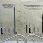 v.1924, 1926 esityksiä vakuutusyhtiöiden toiminnasta - pikkukuva 2