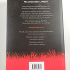 Adrian McKinty : Ketju - pikkukuva 2
