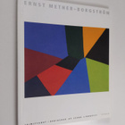 Ernst Mether-Borgström : Ernst Mether-Borgström : värin j... - pikkukuva 1