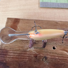 Salmo Floating 4cm SDR - pikkukuva 4