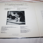 The Amboy Dukes - Journeys and Migrations 2LP 1973 - pikkukuva 2