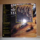 NOISY MAMA - Everybody Has One LP - ATCO EU 1991 - pikkukuva 2