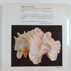 Hugh Stix : The shell : gift of the sea - pikkukuva 2