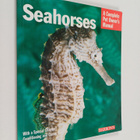Frank Indiviglio : Seahorses - pikkukuva 1