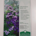 Uusi safiiri 2/2006 - pikkukuva 2