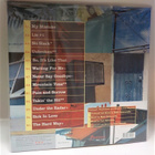 JOE BONAMASSA - SO IT'S LIKE THAT UUSI LP + NIMMARI - pikkukuva 3