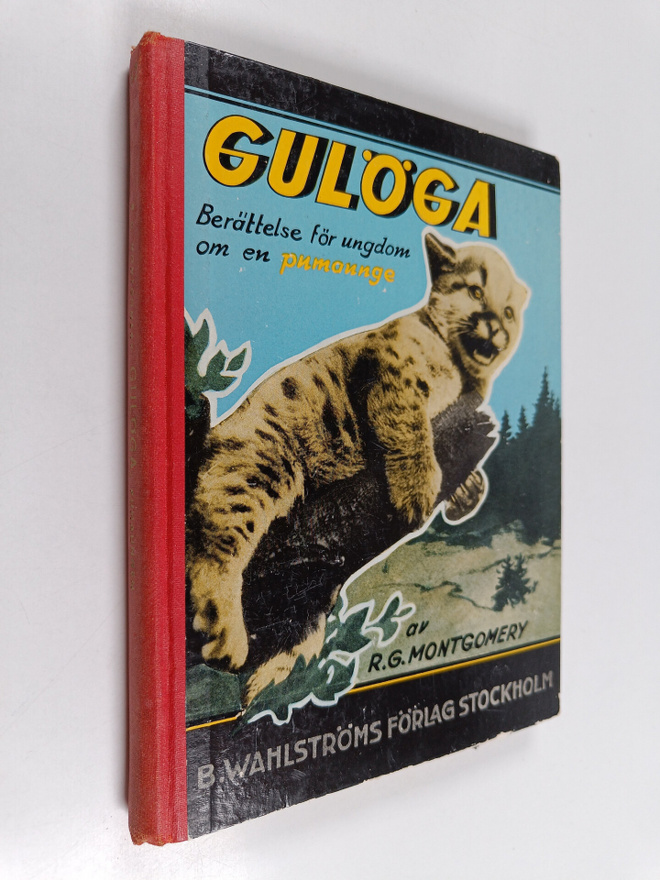 R. G. Montgomery : Gulöga : Berättelse för ungdom