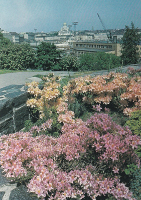 KIRKKOKORTTI - HELSINKI - TUOMIOKIRKKO - 28