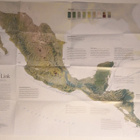 National Geographic vol.212 No.2 Poster: Mesoamerica - pikkukuva 3