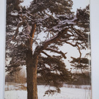 Järvenpään maisemaselvitys - pikkukuva 2