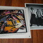 WILD CARDS - Cool Never Cold LP 1986 blues rock and roll EX- - pikkukuva 2