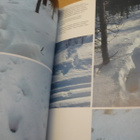 Ruskeakarhu - Erik S. Nyholm & Eero Kemilä 1.p.1990 - pikkukuva 4