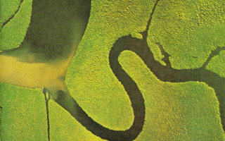 DEAD CAN DANCE The Serpent's Egg CD