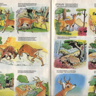 Walt Disney Aku Ankka n:o 52 B 1991 BAMBI - pikkukuva 5