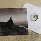 GARY MOORE - Wild Frontier LP - pikkukuva 2