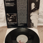 Stan Ridgway Camouflage 12"maxi-single - pikkukuva 2