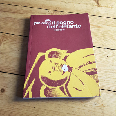 Il sogno dell’elefante