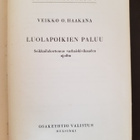 Luolapoikien paluu - pikkukuva 2