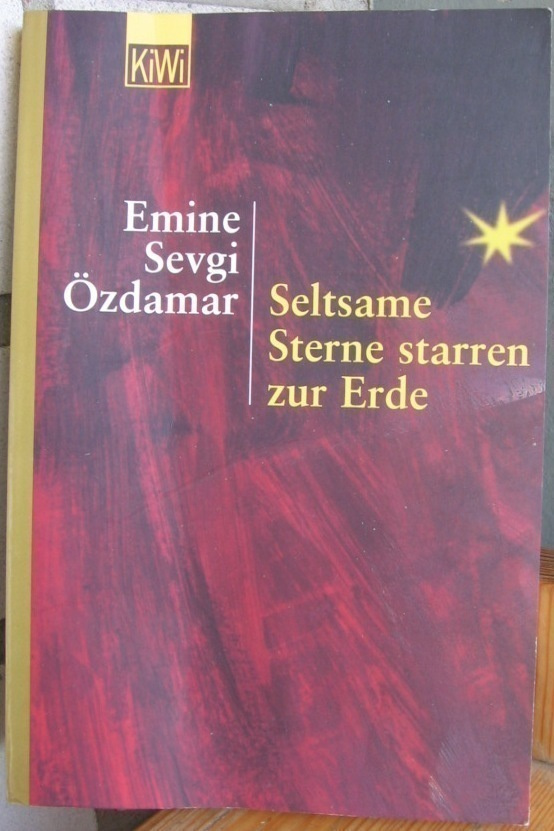 Emine Sevgi Özdamar: Seltsame Sterne starren zur Erde. 248 s