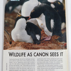 National Geographic vuosikerta 2005 (1-12) - pikkukuva 2