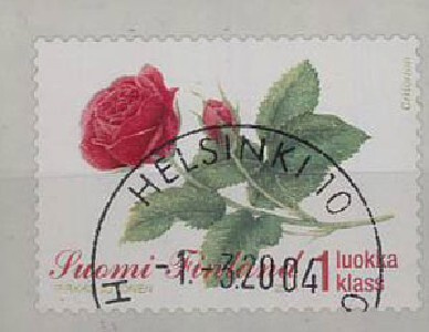 2004 1.lk ruusu loisto