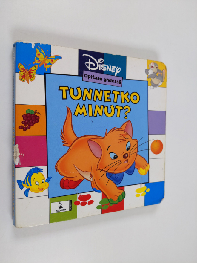 Marianne Lehman : Tunnetko minut?