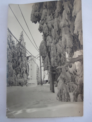 VANHA Valokuva Kuopio 1920-l