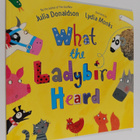 Julia Donaldson : What the ladybird heard - pikkukuva 1