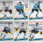 2016-17 Cardset Series1 Pelicans Team Set 12 korttia(109-120 - pikkukuva 2