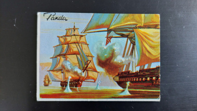Panda Taistelun historia # 17