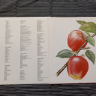 THE ROLLING STONES Undercover LP - pikkukuva 4