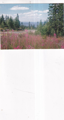 Sotkamo, Vuokatti , foto U. Lappi b643