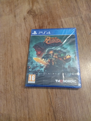 Battle chasers