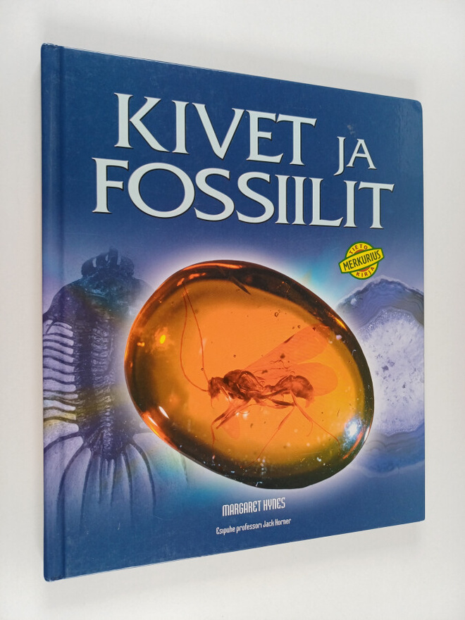 Margaret Hynes : Kivet ja fossiilit