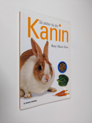 Betsy Sikora Siino : Så sköter du din kanin