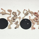 WH40K - 2kpl Tyranid Warrior (Rogue Trader) [A24] - pikkukuva 1