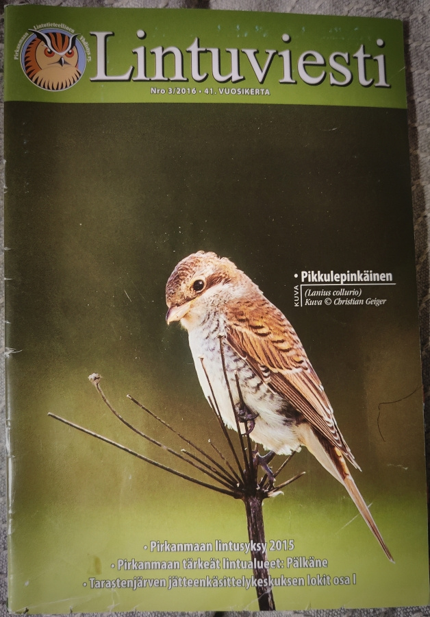 LINTUVIESTI 3/2016 - Pily yhdistyslehti