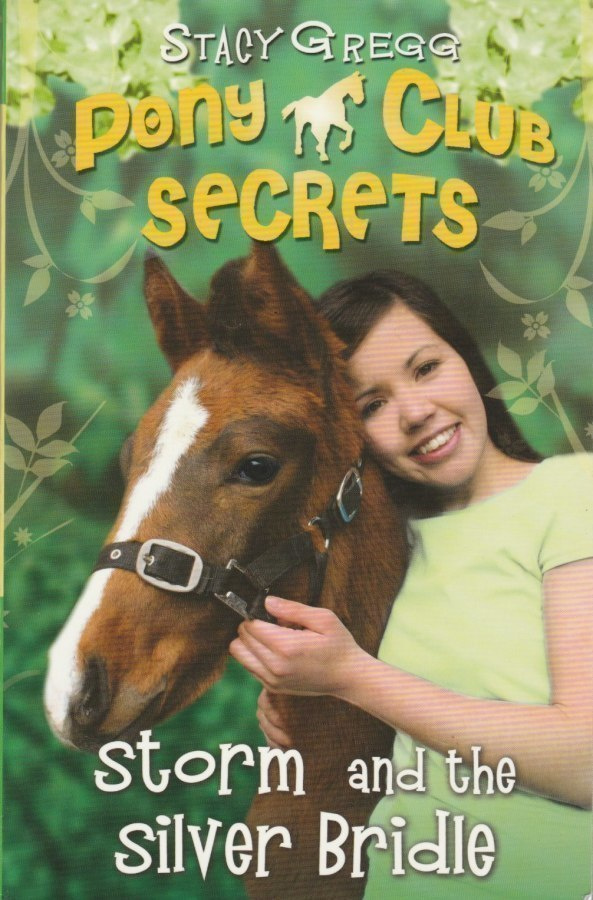 Stacy Gregg: Storm and the Silver Bridle
