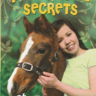 Stacy Gregg: Storm and the Silver Bridle - pikkukuva 1