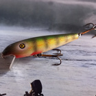 Pflueger palomine vaappu - pikkukuva 1