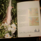 Timo Metsänen LAHDEN II LINTUATLAS 2009-2011 (Sis.pk:t) - pikkukuva 2