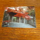 japani pk sanzen-in temppeli portti kulkematon - pikkukuva 1