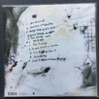Dirty Pretty Things Waterloo To Anywhere LP Vinyl - pikkukuva 2